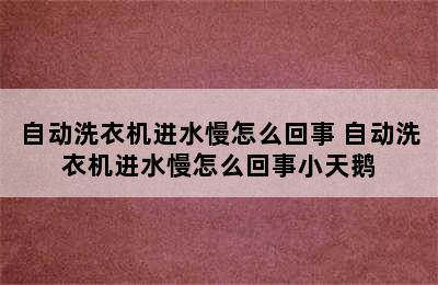 自动洗衣机进水慢怎么回事 自动洗衣机进水慢怎么回事小天鹅